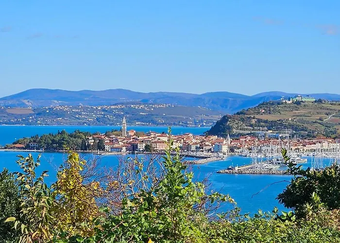 Ground-floor Laguna 01 Apartment