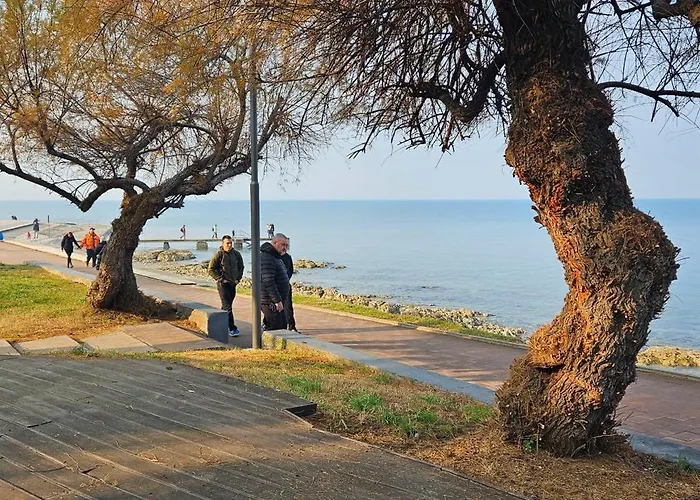 Apartment Ground-floor Laguna 01